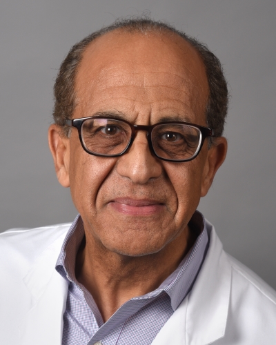 Mohamed H. El-Gabalawy